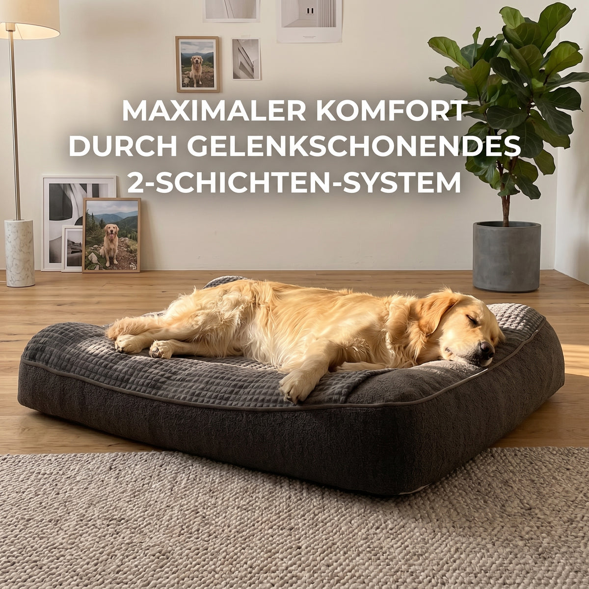 Rogidy® Orthopädisches Hundebett – Gelenkschonend & Waschbar