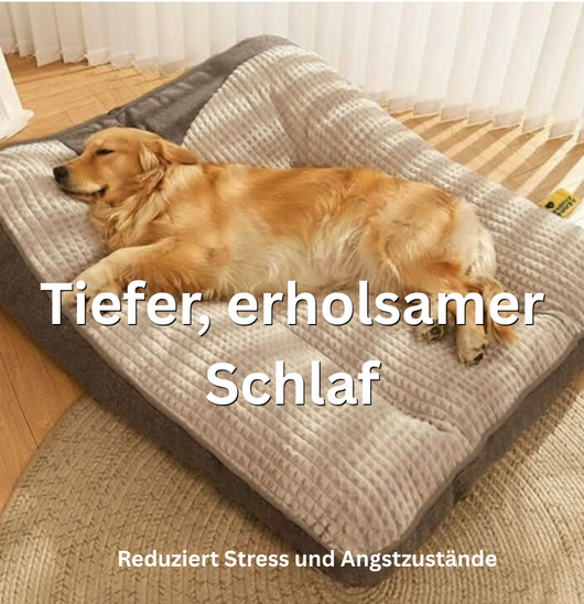 The HugBed | Orthopedic dog bed
