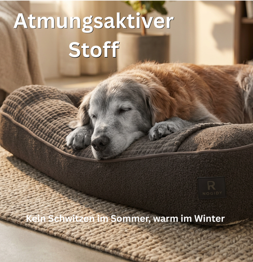 The HugBed | Orthopedic dog bed