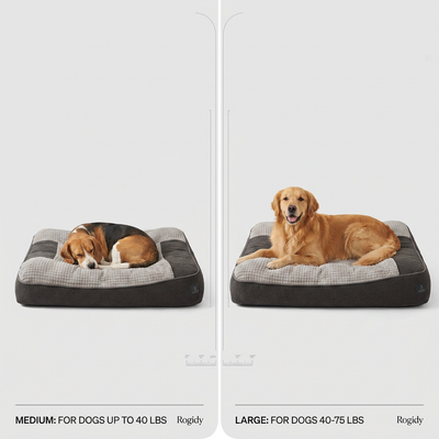 The HugBed | Orthopedic dog bed