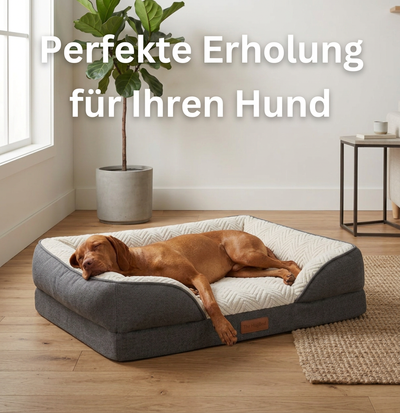 The HugBed | Orthopedic dog bed