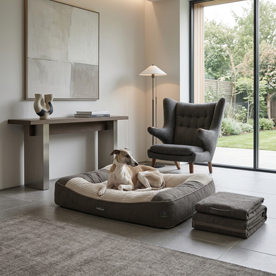 The HugBed | Orthopedic dog bed