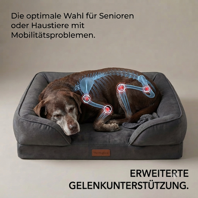 The HugBed | Orthopädisches Hundebett