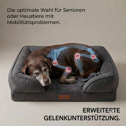 The HugBed | Orthopädisches Hundebett