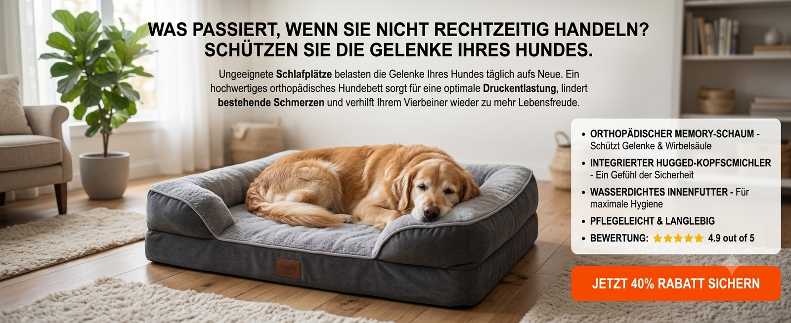 Bild mit Text