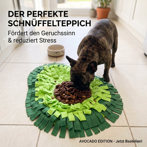 SnufflePro™ Interactive Dog Snuffle Mat – Anti-Gulp Slow Feeder & Brain Puzzle