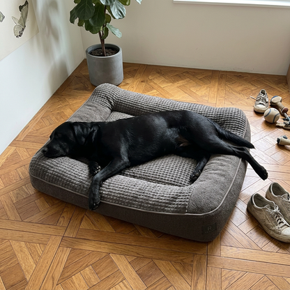 Rogidy® Orthopädisches Hundebett – Gelenkschonend & Waschbar