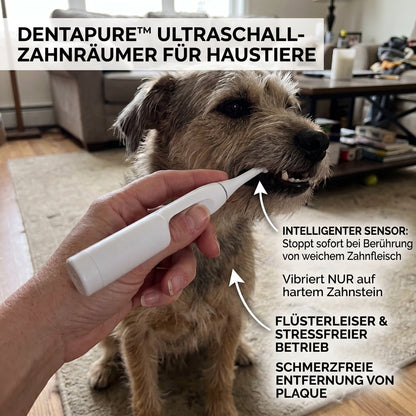 DentaPure™ Professioneller Ultraschall-Zahnsteinentferner für Haustiere – Schmerzfreie Plaque- & Zahnsteinentfernung