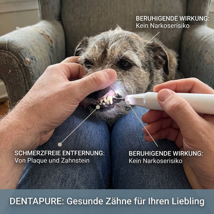 DentaPure™ Professioneller Ultraschall-Zahnsteinentferner für Haustiere – Schmerzfreie Plaque- & Zahnsteinentfernung