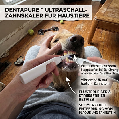 DentaPure™ Professioneller Ultraschall-Zahnsteinentferner für Haustiere – Schmerzfreie Plaque- & Zahnsteinentfernung