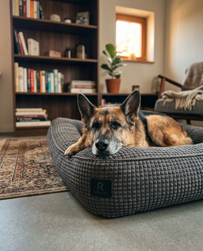 Rogidy® Orthopädisches Hundebett – Gelenkschonend & Waschbar