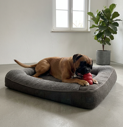 Rogidy® Orthopädisches Hundebett – Gelenkschonend & Waschbar