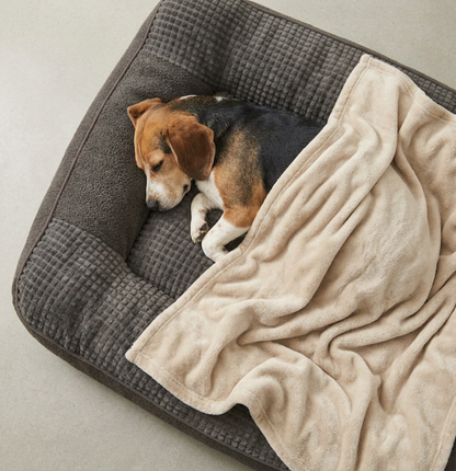 Rogidy® Orthopädisches Hundebett – Gelenkschonend & Waschbar